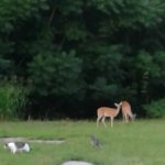 20180629_201423.jpg