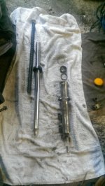 Forks removed and split.jpg