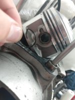 IMG_20220723_102939732.jpg