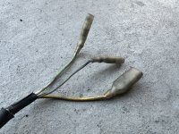 IMG_3564.jpeg