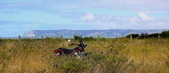 IMG_4571_shpn_crop_-b+c_reize_copyright.jpg