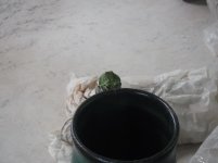 DSCF2794.jpg