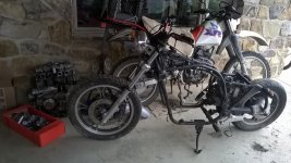 FOT46D5.jpg