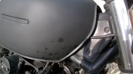 WP_20160808_09_41_53_Pro.jpg