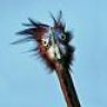 thecreature8