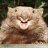 Wombat_Scat