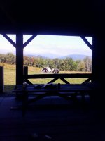 IMG_20260630_144904.jpg