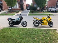 IMG_2054.jpeg